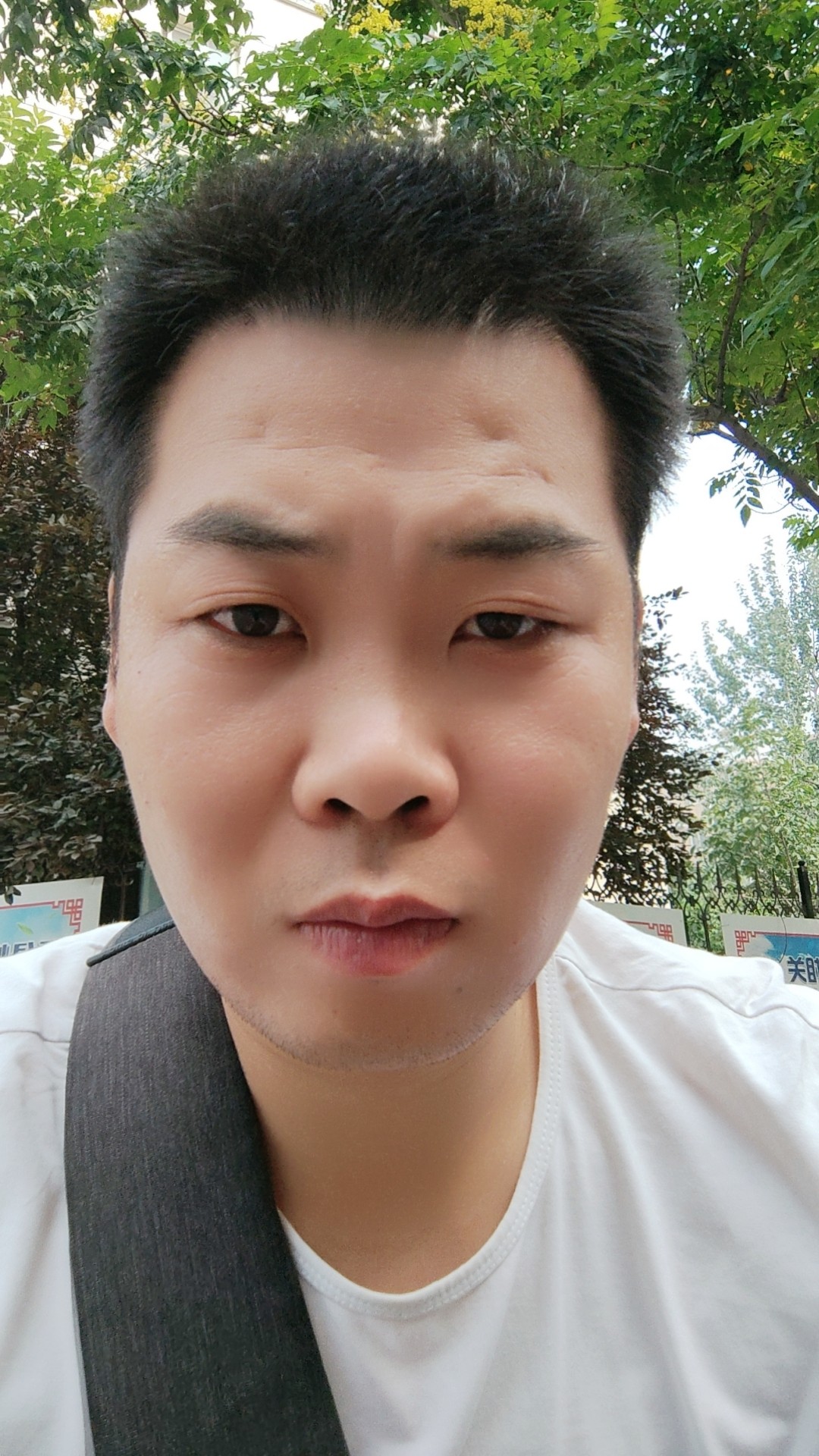 照片
